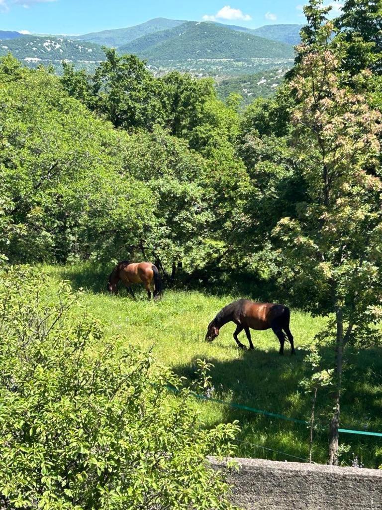 Lotus Holiday Apartment In Skrljevo バカル エクステリア 写真